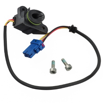 PictureAltAttribute - 42504005802-jpg